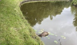 一名男子在工作时从30英尺高处摔下，导致瘫痪，公司罚款24万英镑